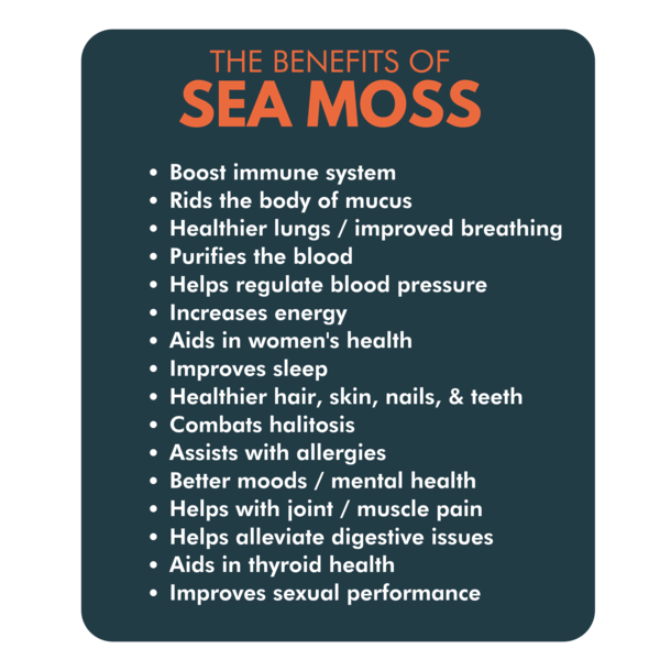Organic Wildcrafted 100% Pure Irish Sea Moss (1000 mg) Vegan Capsules
